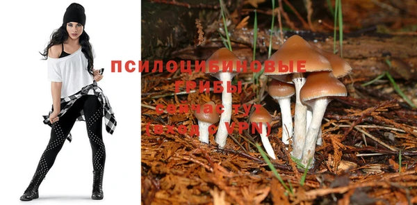 трава Алексин